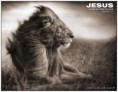 /album/imagens-para-papel-de-parede/jesus-le%c3%a3o-da-tribo-de-juda-jpg/